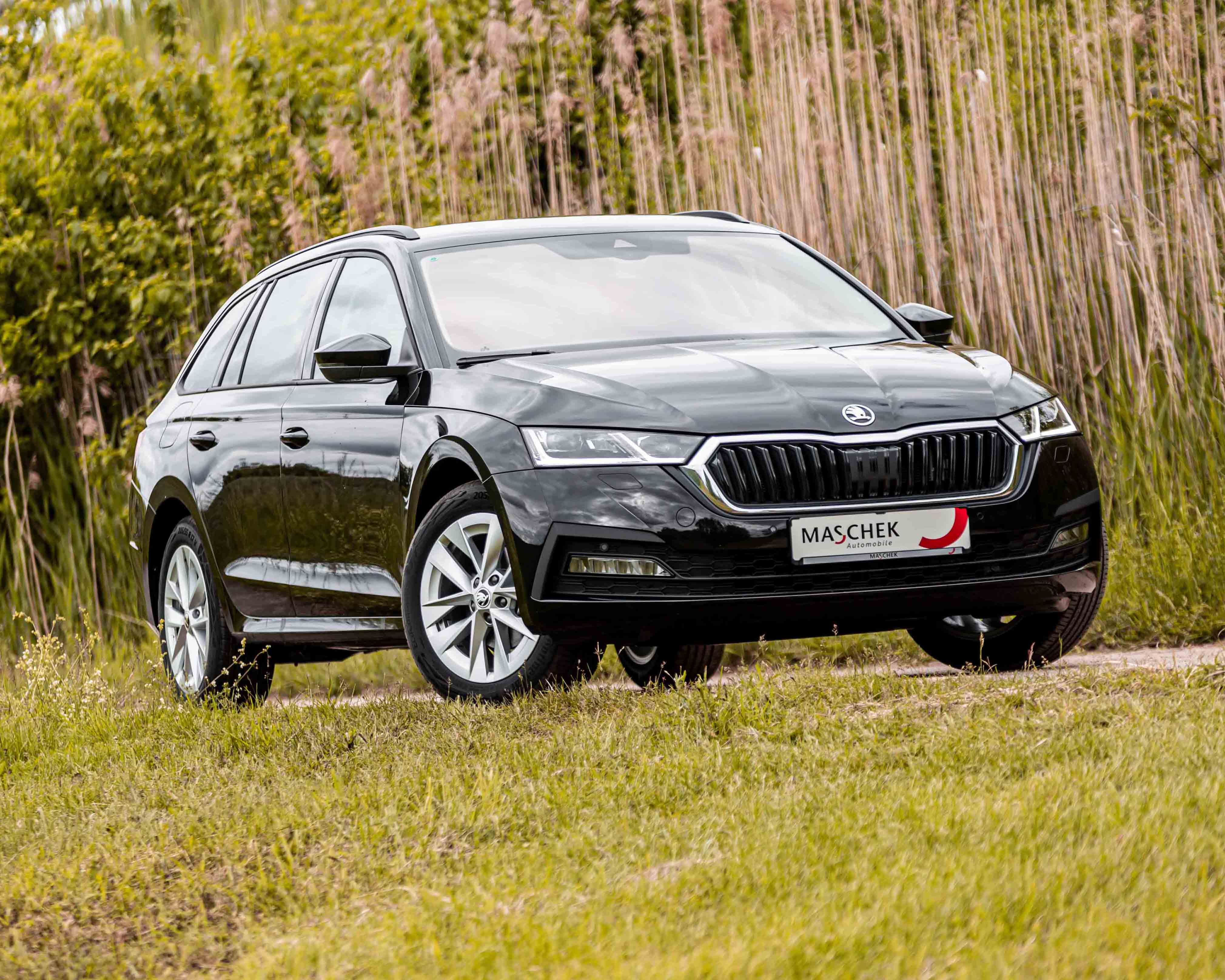 skoda_octavia_neu 2