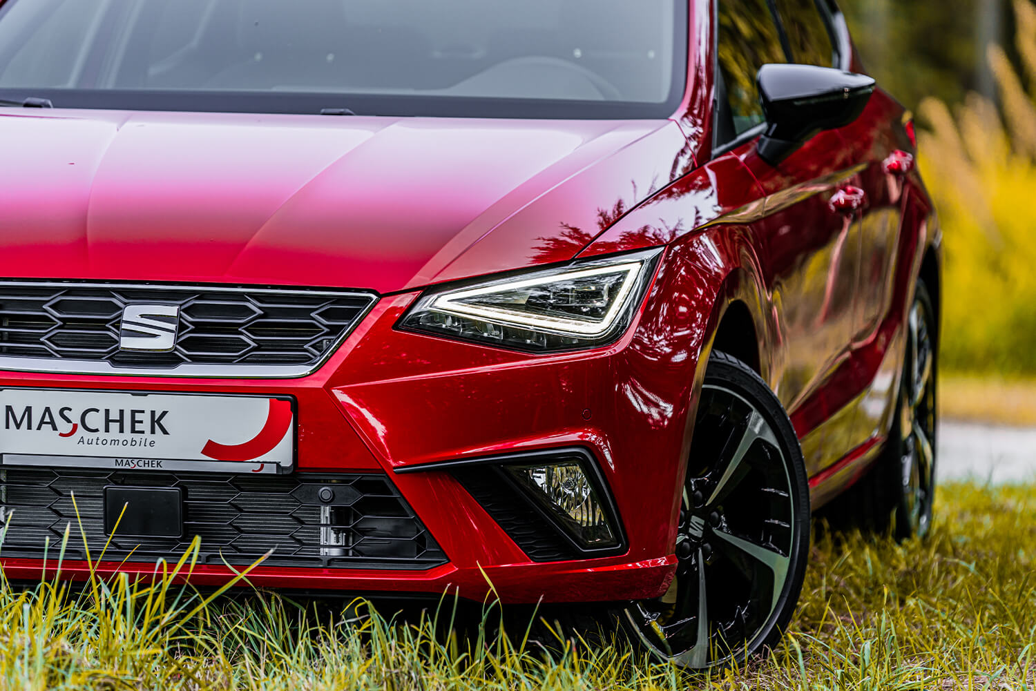 SEAT Ibiza l Maschek Automobile